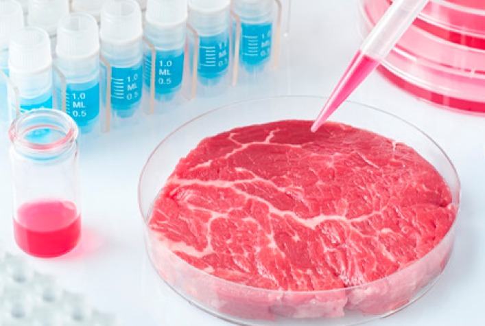 Perigo em carne produzida em laboratório, se explique JBS